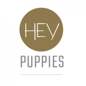 Hey Puppies