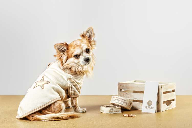 Hey Puppies sostenible