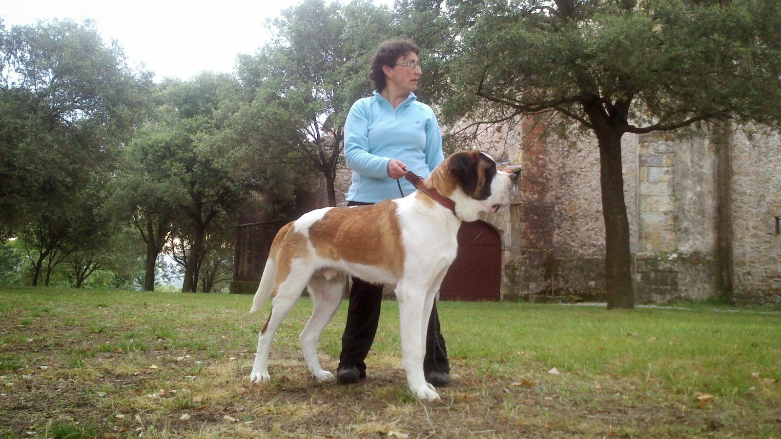 San Bernardo. AtlÁntico Da Frouxeira.
