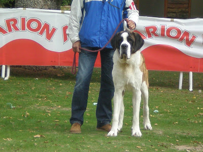 San Bernardo. Bayron Da Frouxeira.