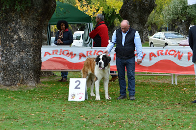 San Bernardo. San Bernardo.