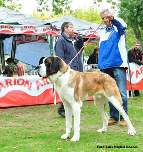 San Bernardo. Bayron Da Frouxeira. San Bernardo. Bayron Da Frouxeira.