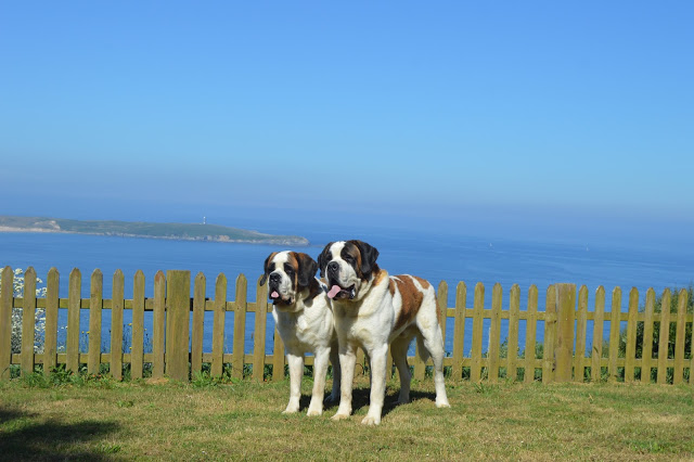San Bernardo. Camada C.