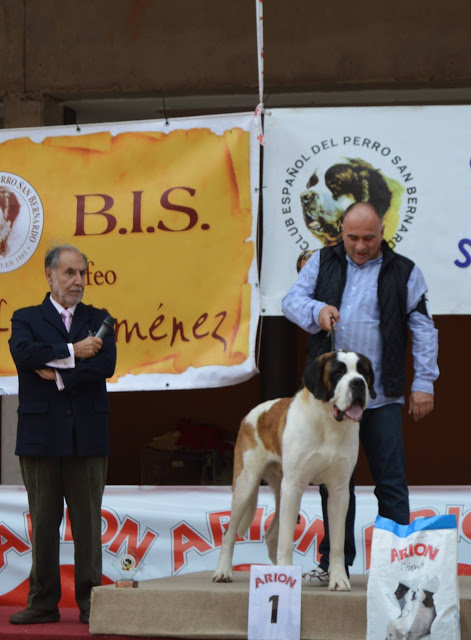 San Bernardo. Atlántico Da Frouxeira. San Bernardo. Atlántico Da Frouxeira.