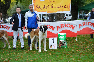 San Bernardo. Bayron Da Frouxeira.