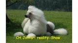Caniche. Jontari Reality Show. 