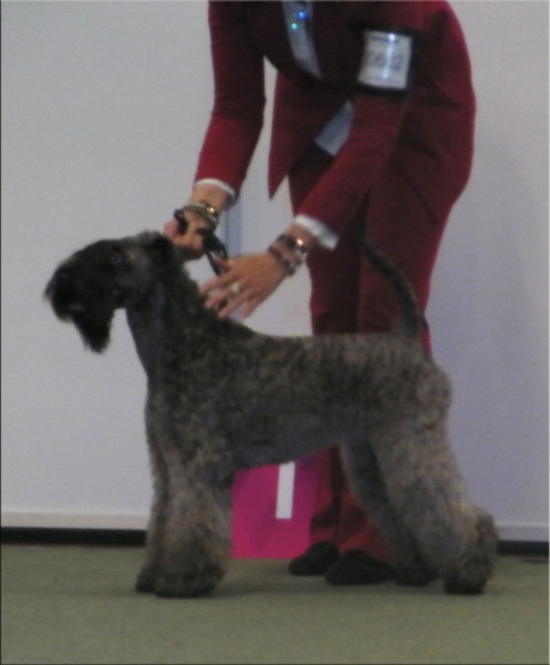 Lola ganando en la Europea de Oslo