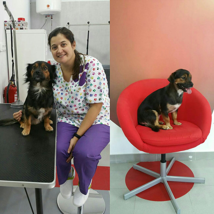 Llum antes y después