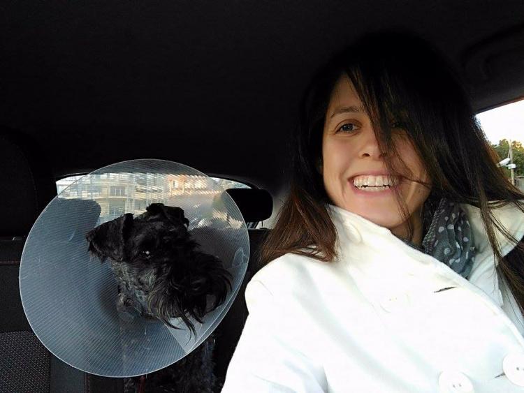 Kerry Blue Terrier. Kris con Kerry K.