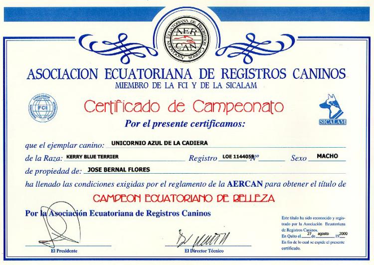 Ch. Unicornio Azul de La Cadiera,  El. Kerry Blue Terrier.  Ecuador Ch. Unicornio Azul de La Cadiera   El.