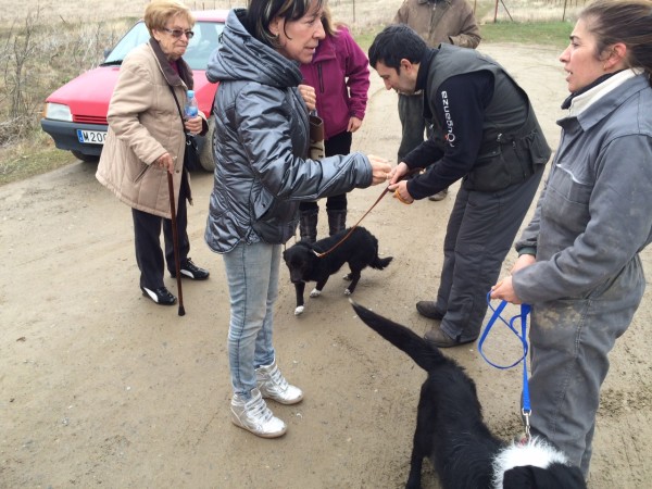 Nuestra recogida de Huellas. 