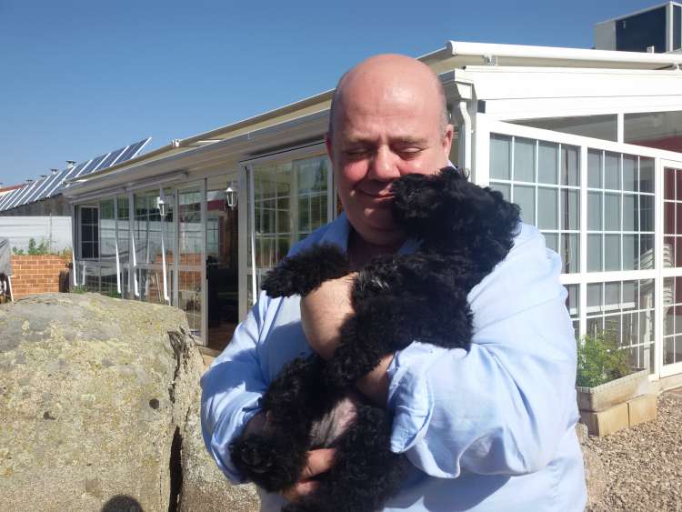 Kerry Blue Terrier. Camada 3H. La Cadiera Haydn.