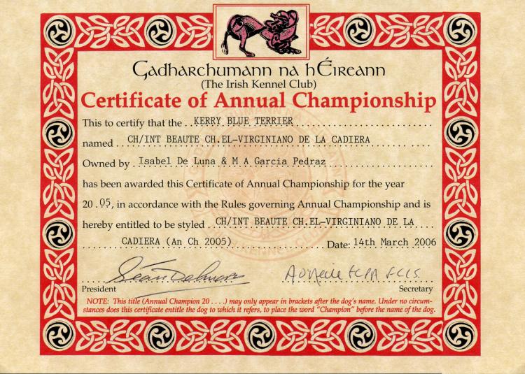 Kerry Blue Terrier.  Anual Ch. El Virginiano de La Cadiera. Kerry Blue Terrier.  Anual Ch. El Virginiano de La Cadiera.