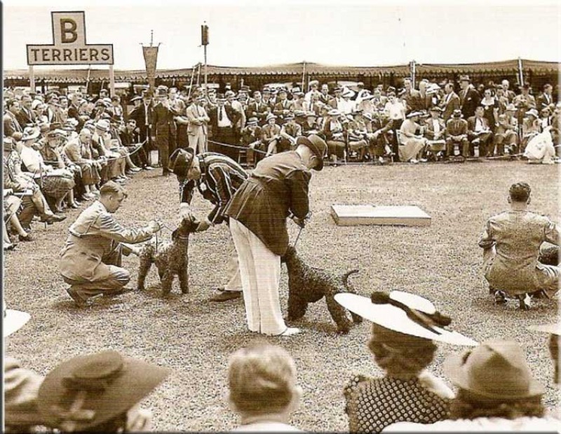 Exposicion antigua de Kerries