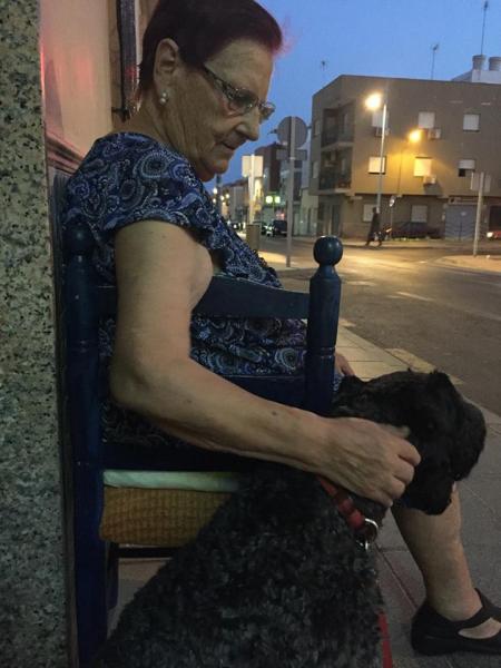 Kerry Blue Terrier. Hugo con la Yaya
