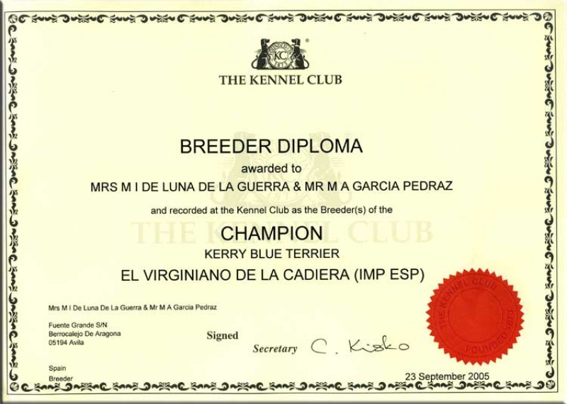 Titulo Criador Inglaterra