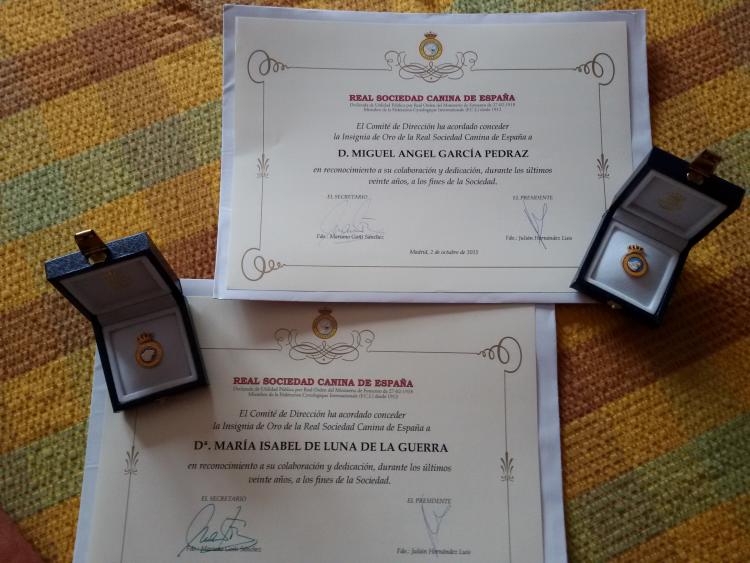 Diplomas e Insignias R.S.C.E. a los 20 años.