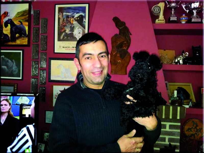 Kerry Blue Terrier. Miguel con Tatyana