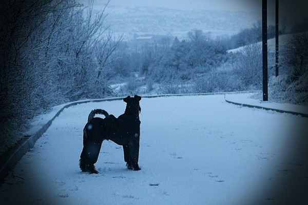 Un día inolvidable.