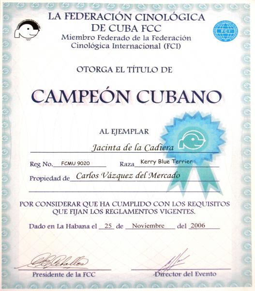 Kerry Blue Terrier.  Cuba Ch. Jacinta de La Cadiera.