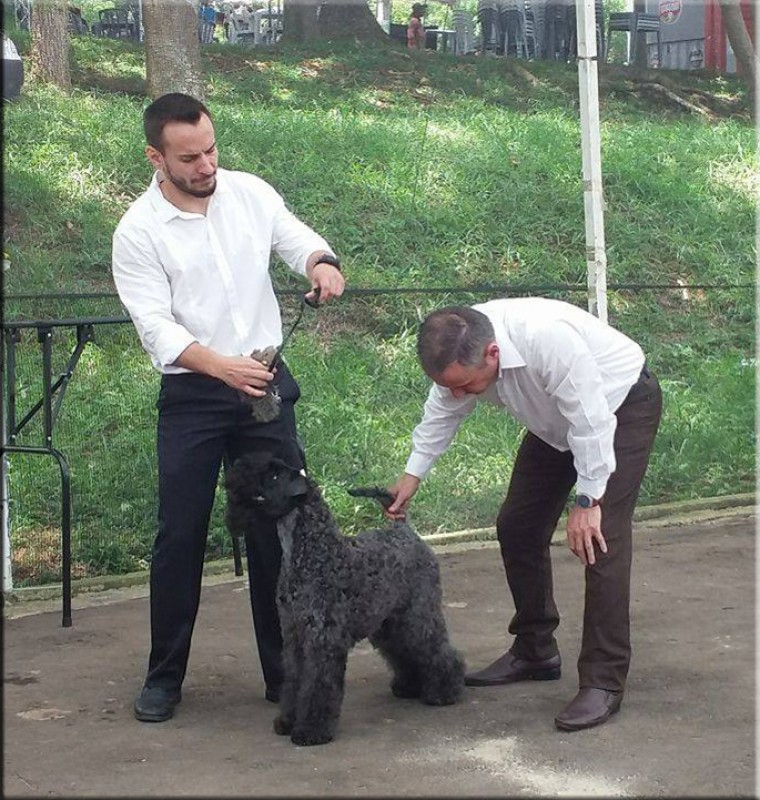 Multi Ch. La Cadiera Diamonds Are Forever.