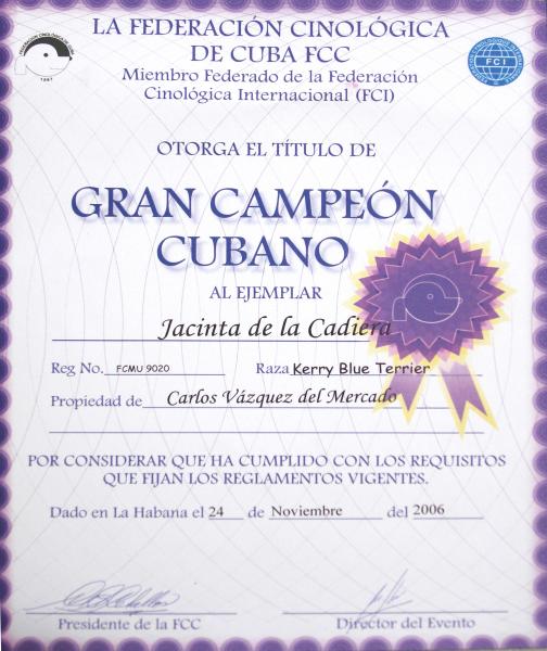 Kerry Blue Terrier.  Gran Cuba Ch. Jacinta de La Cadiera.