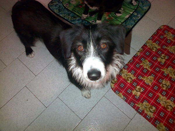 Nuestra recogida de Huellas. 