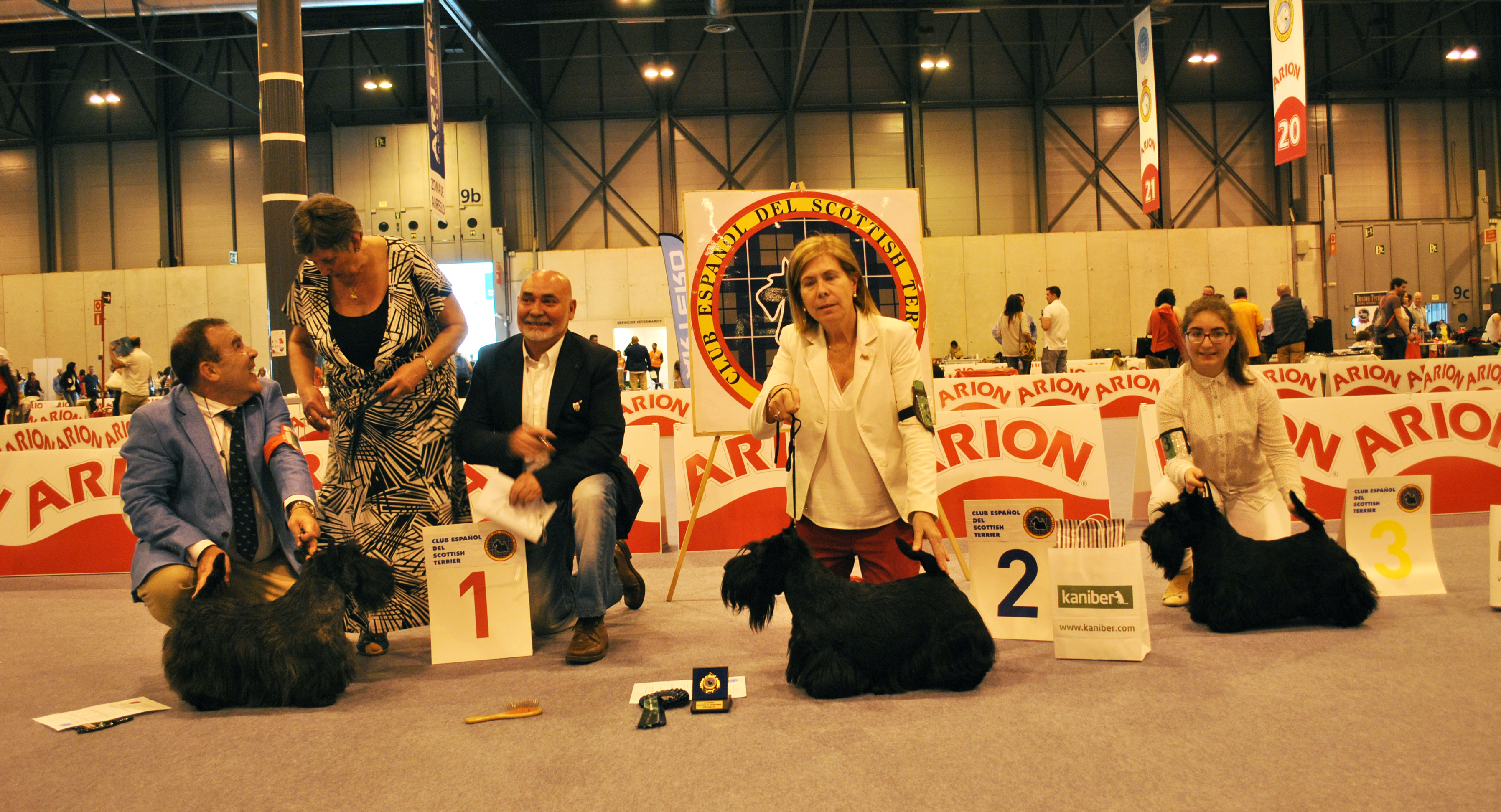 Scottish Terrier.  Ch. MR. FRANKLIN DE TREYSAS.