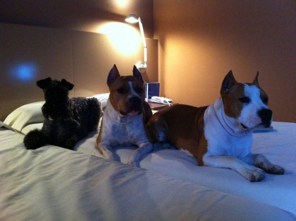 Con unas coleguitas !