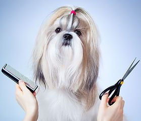 Corte a Tijera. Corte a Tijera.