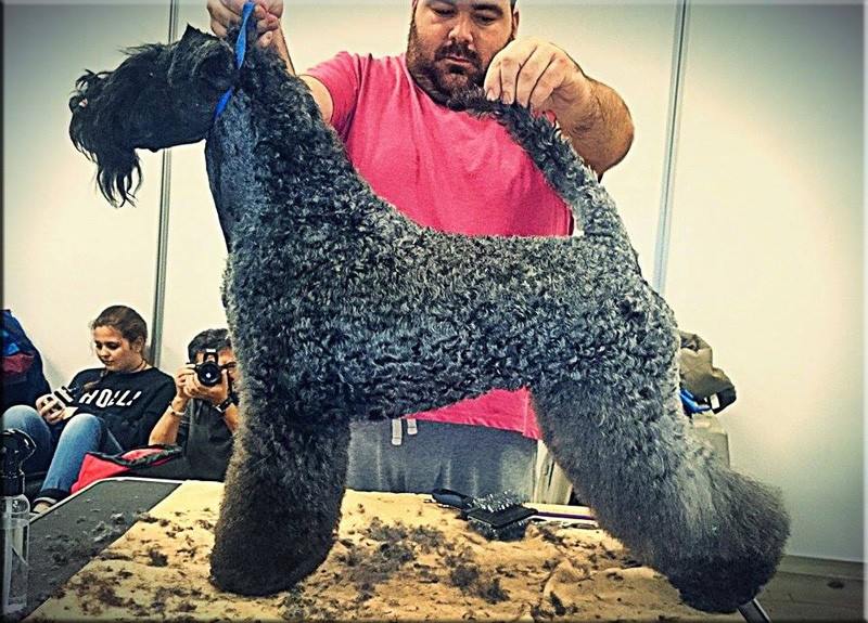 M.Ch. Bluemont Analivia Purabella at La Cadiera