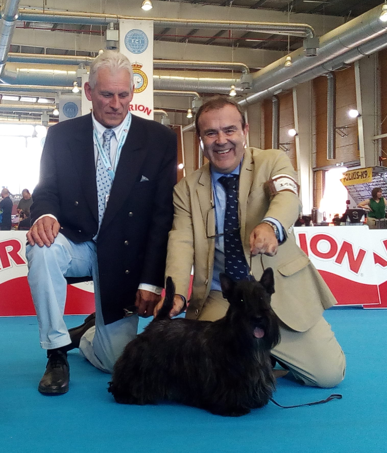 Scottish Terrier.  Ch. MR. FRANKLIN DE TREYSAS.