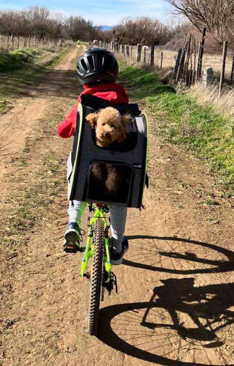 Jam de paseo con su pequeño amito