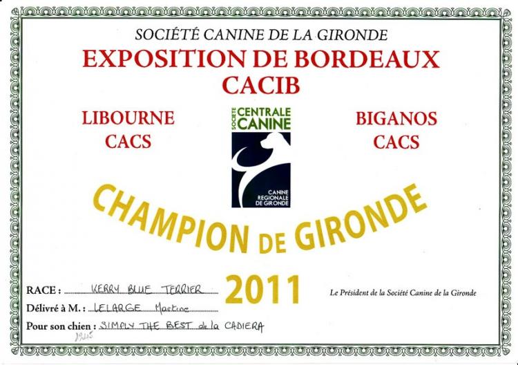 Kerry Blue Terrier. Gironde Ch. Simply the Best de La Cadiera. Kerry Blue Terrier. Gironde Ch. Simply the Best de La Cadiera.