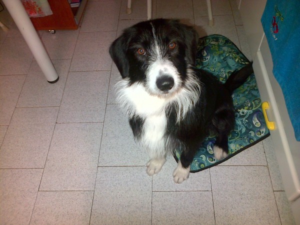 Nuestra vida ahora !!!. 