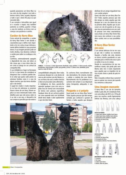 Kerry Blue Terrier.
