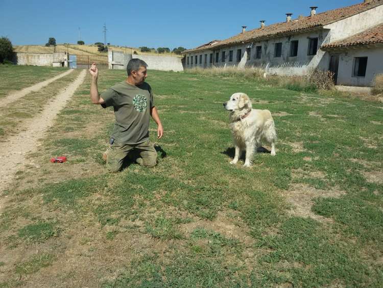 Aston con Miguel Angel en Hotel Canino La Cadiera