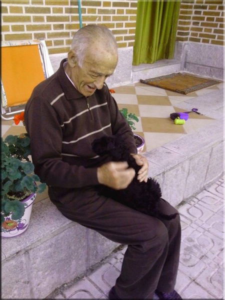 Kerry Blue Terrier. La Cadiera Felicity. Kerry Blue Terrier. La Cadiera Felicity.