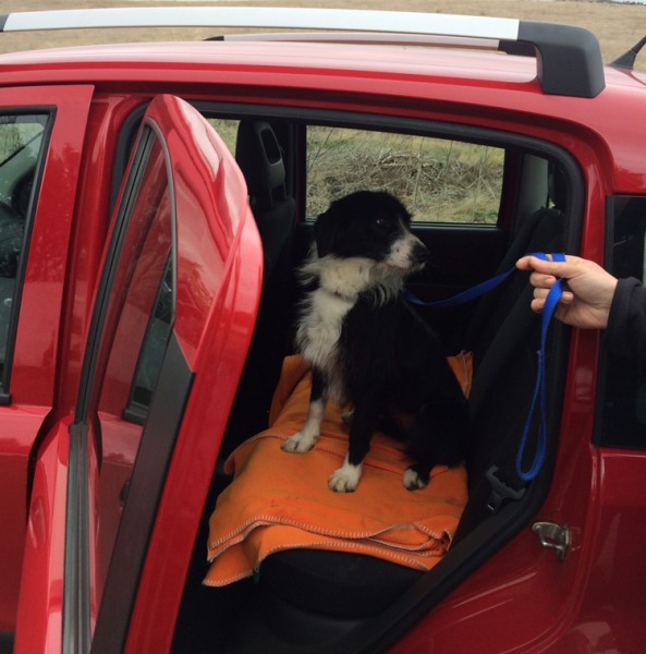 Nuestra recogida de Huellas. 