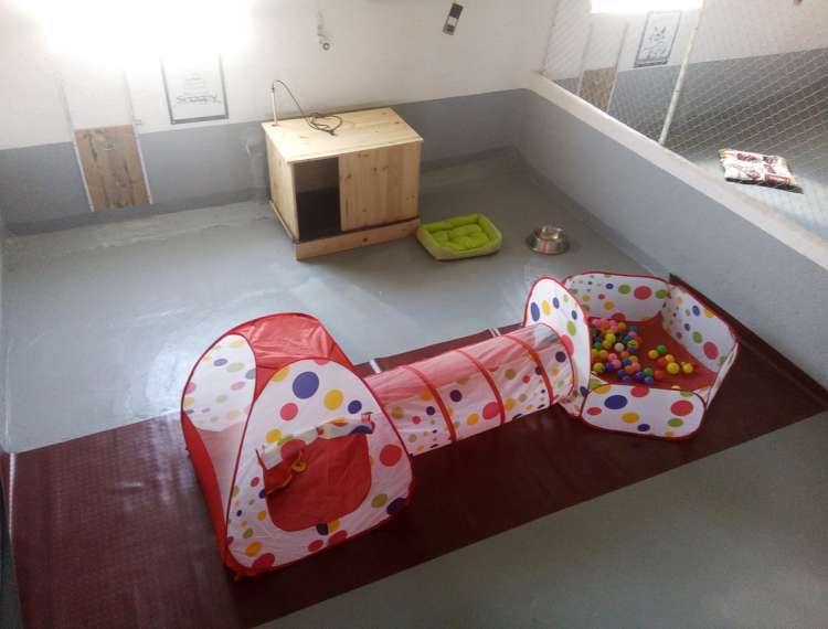 Interior Parque Gold Snoopy. Hotel Canino La Cadiera Interior Parque Gold Snoopy. Hotel Canino La Cadiera