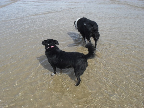 Pepa y Bimba en la playita
