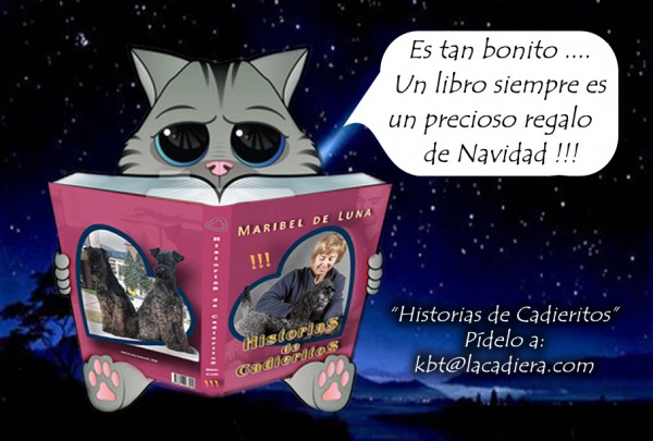 Un libro es un Gran Regalo de Navidad !!!