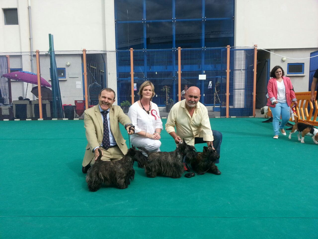 Exposiciones Internacionales de Gibraltar. Scottish Terrier.