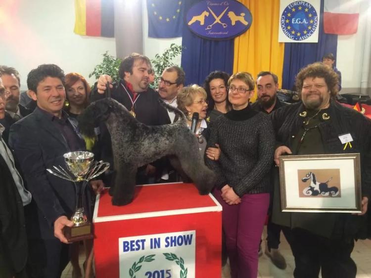 Ganando con la Multi Ch. Yo Soy Saraoz de La Cadiera.