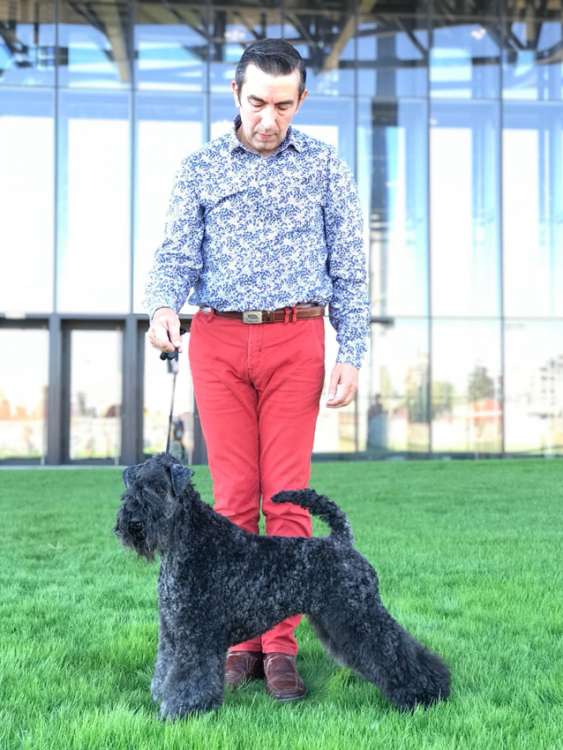 Northbound Hymn To La Cadiera. Exc. 1ª C.A.C. C.A.C.I.B. B.O.S..