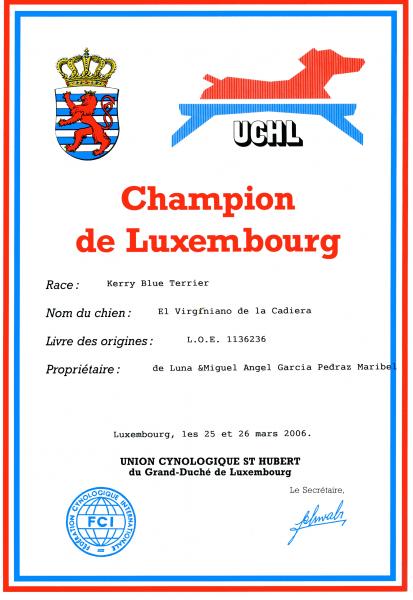 Kerry Blue Terrier.  Luxemburg Ch. El Virginiano de La Cadiera. Kerry Blue Terrier.  Luxemburg Ch. El Virginiano de La Cadiera.