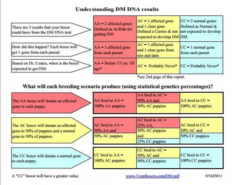 Grafico Understanding D.M
