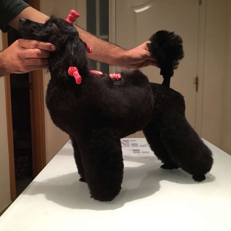 Camada 3L. Delabea El Vinilo Contraataca.