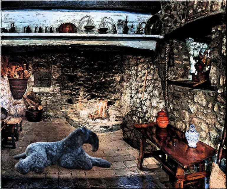 Kerry Blue Terrier. Ch. Leto Atreides de La Cadiera. Una Cadiera con Leto