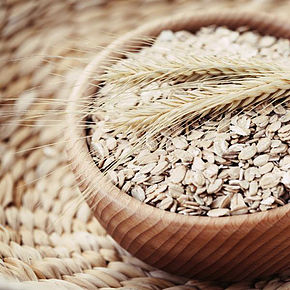 Beneficios de la avena para perros. 